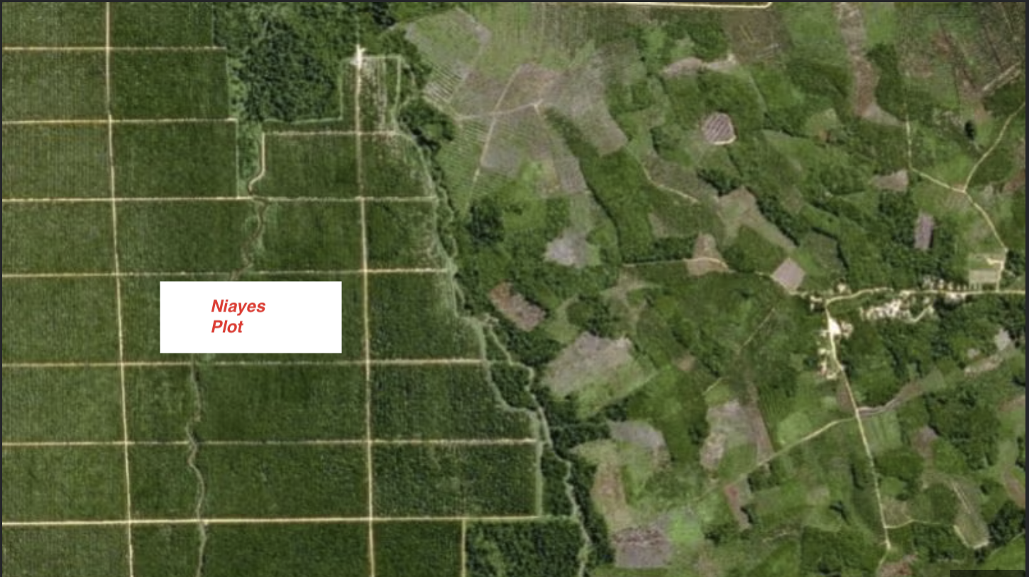 Field agronomists reviewing moisture readings across Niayes, Senegal